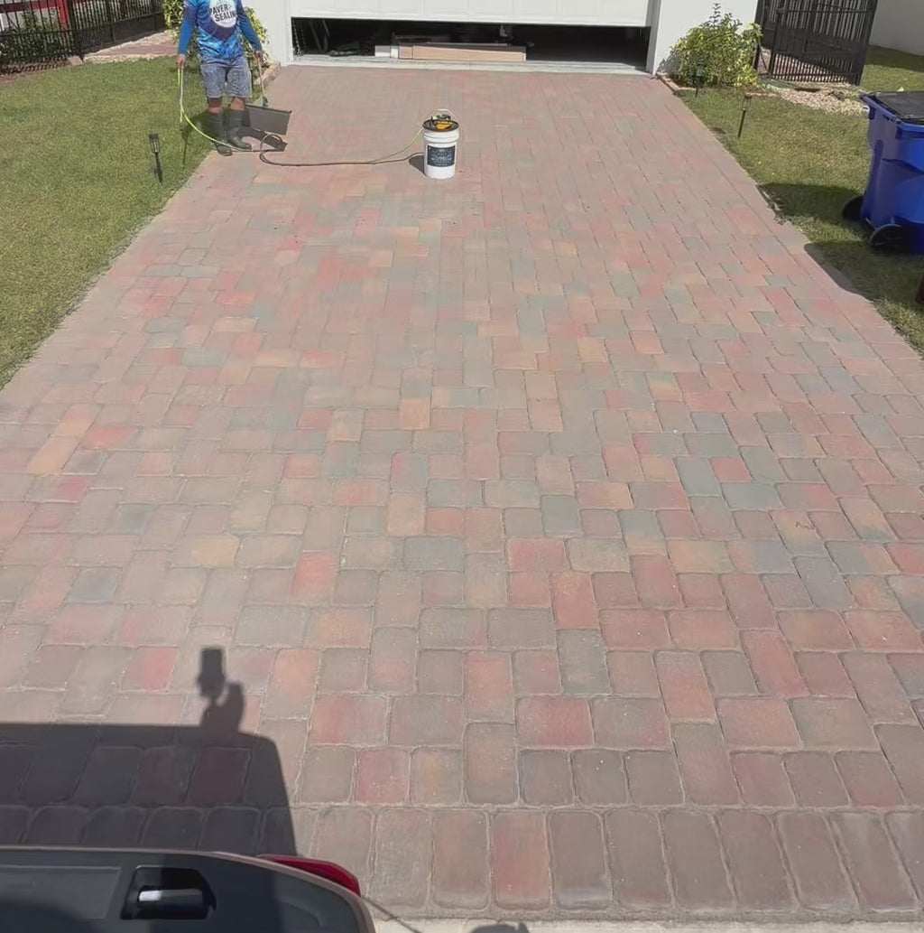 EzFlow Spray Wand (24” aluminum lance & 2-6510 Fan Tips)